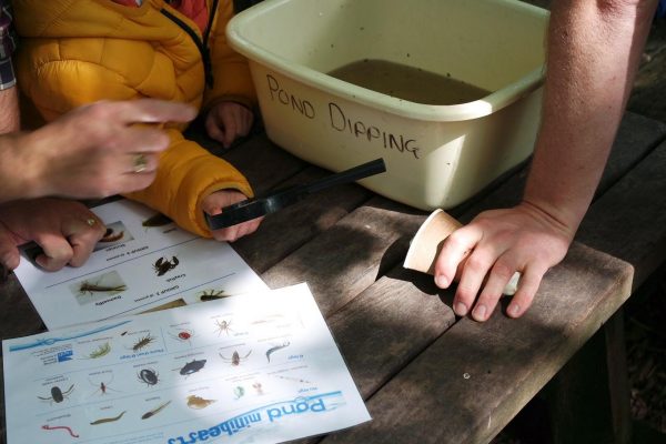 SAMSUNG CAMERA PICTURES