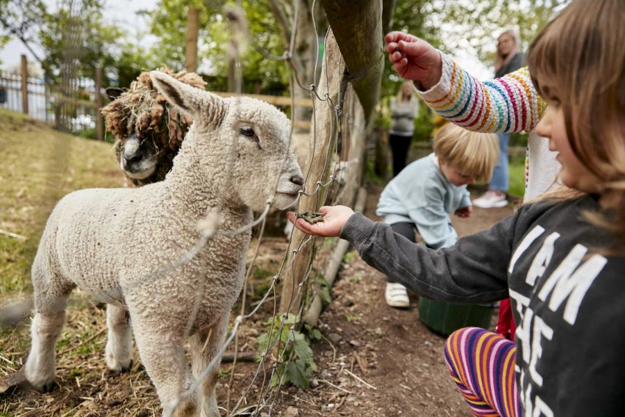 WINDMILL_HILL_CITY_FARM_115_LR