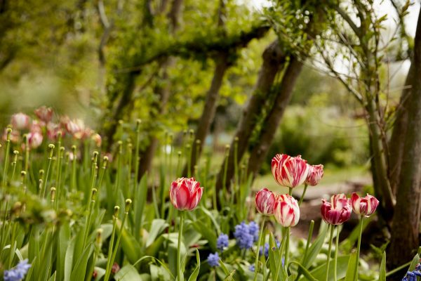 WINDMILL_HILL_CITY_FARM_197_LR