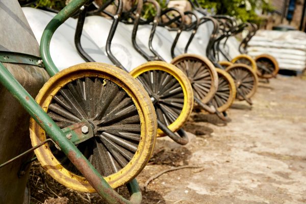 WINDMILL_HILL_CITY_FARM_207_LR