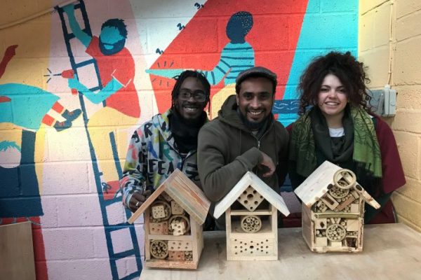 Woodshed-insect-boxes-728x485